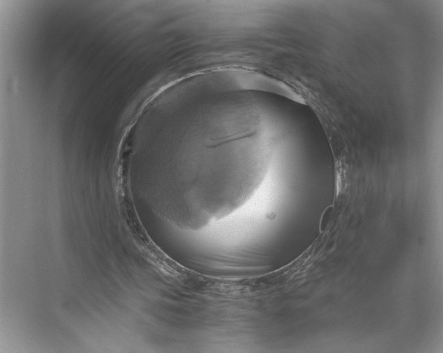 X0000075890339200609291711