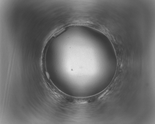 X0000075890340200609291711