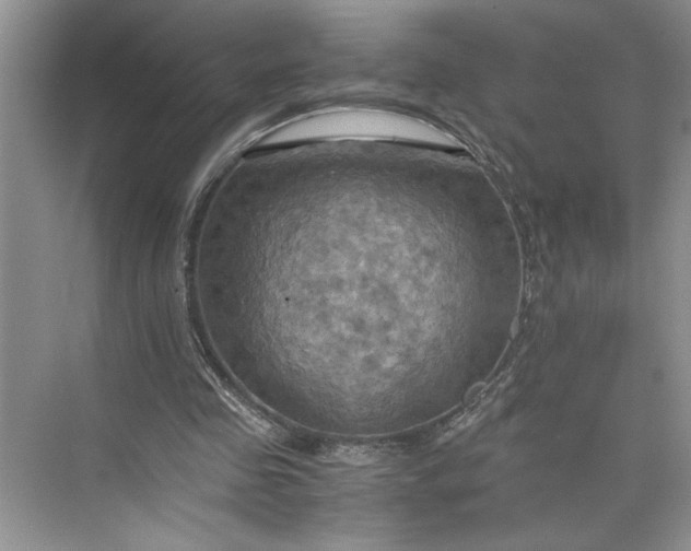 X0000075890341200609291711