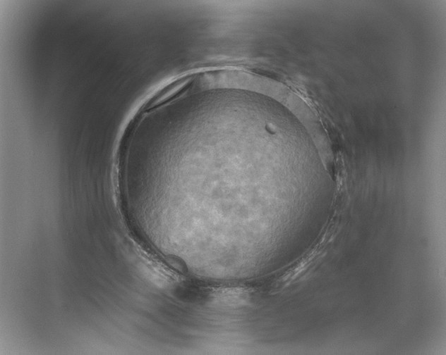 X0000075890342200609291711