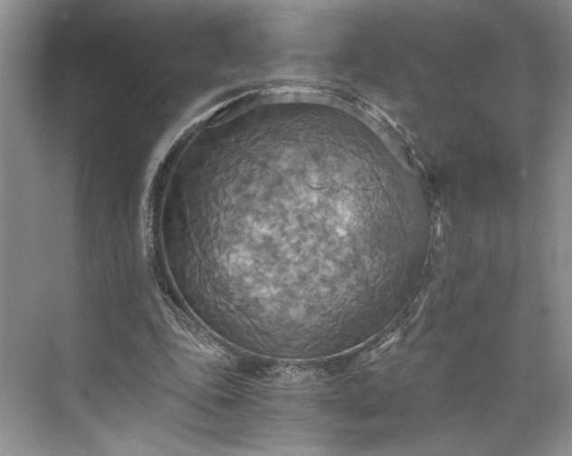 X0000075890343200609291711