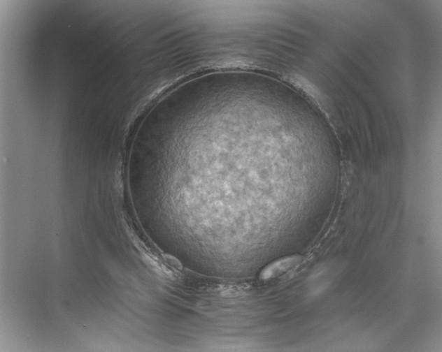 X0000075890345200609291711