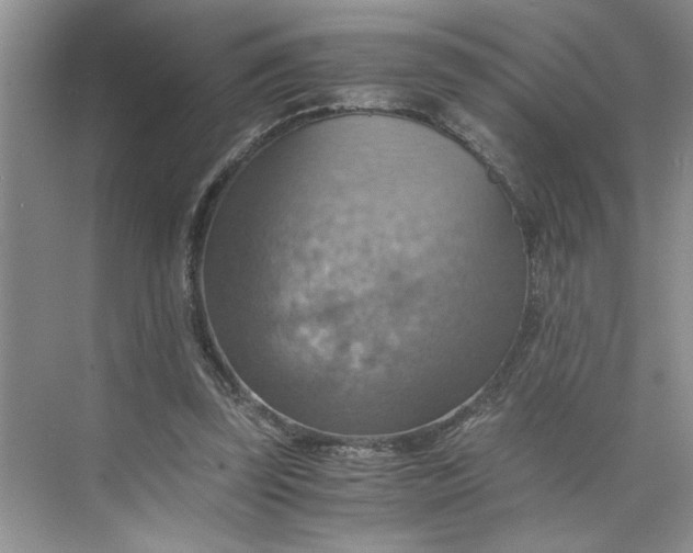 X0000075890347200609291711