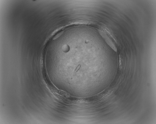 X0000075890348200609291711