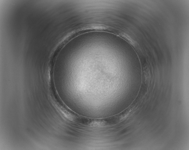 X0000075890350200609291712