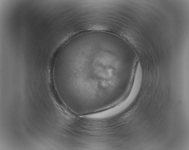 X0000075890351200609291712