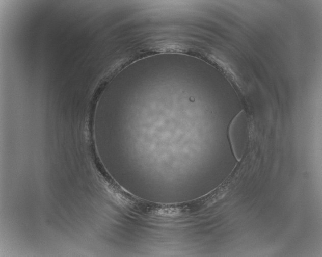 X0000075890353200609291712