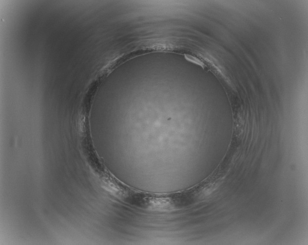 X0000075890355200609291712