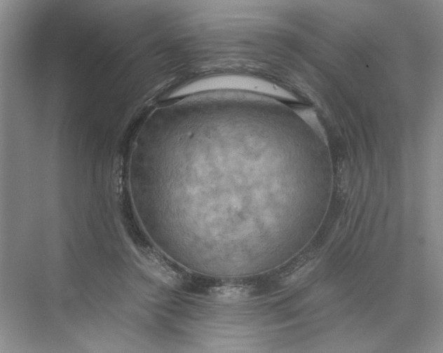 X0000075890356200609291712