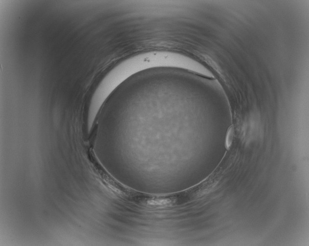 X0000075890357200609291712