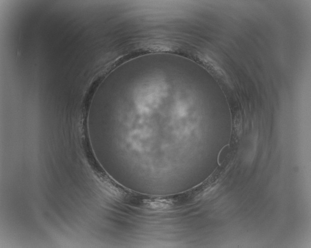 X0000075890359200609291712