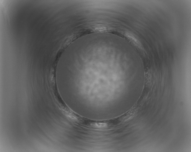 X0000075890361200609291712