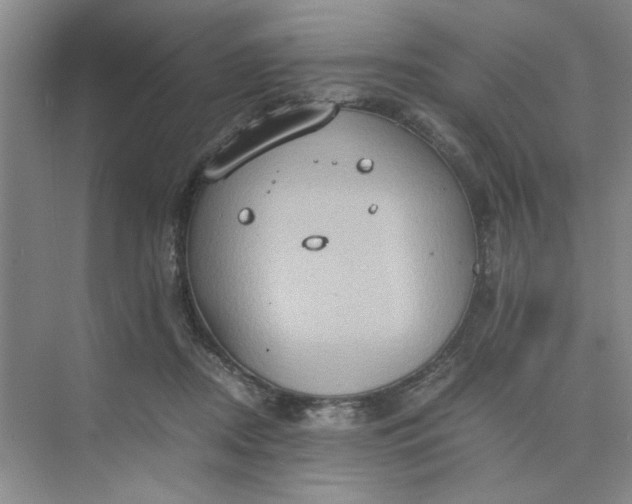 X0000075890362200609291712