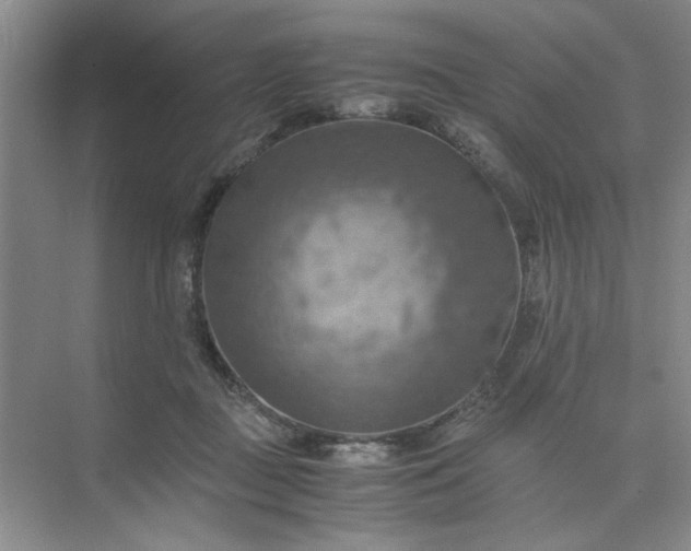 X0000075890363200609291712