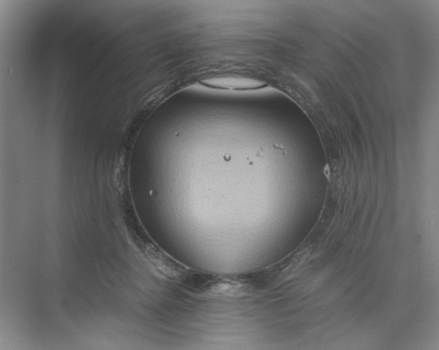 X0000075890364200609291712