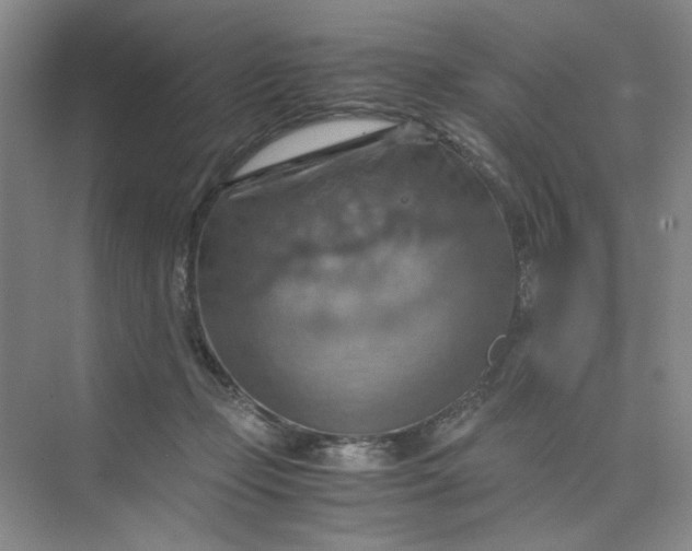 X0000075890365200609291712