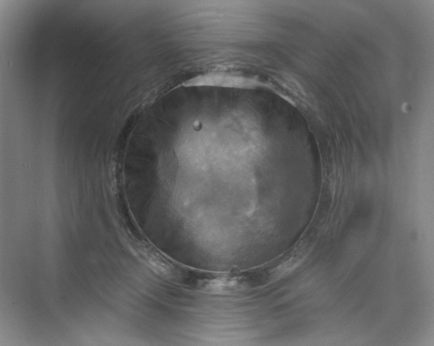 X0000075890366200609291712