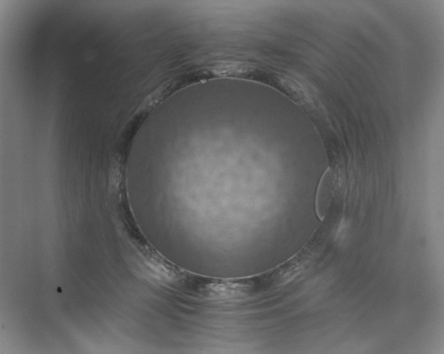 X0000075890367200609291712