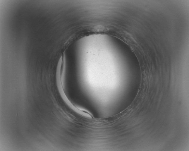 X0000075890368200609291712