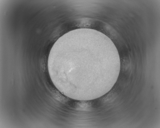 X0000075890370200609291712