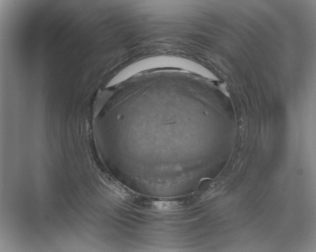 X0000075890371200609291712