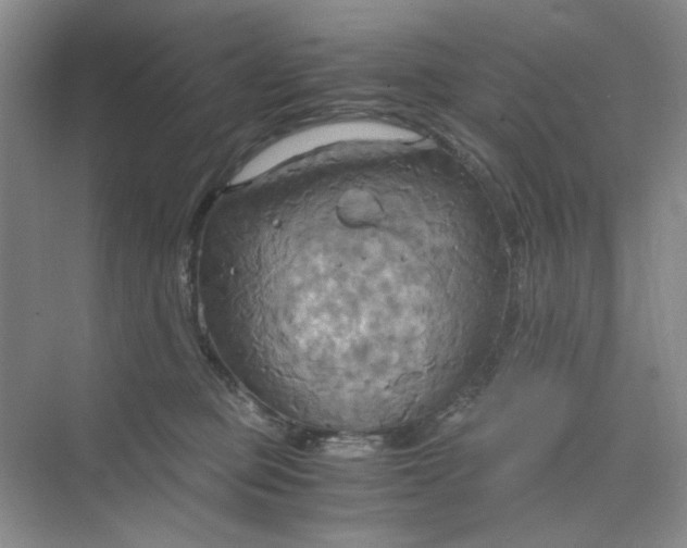 X0000075890373200609291712