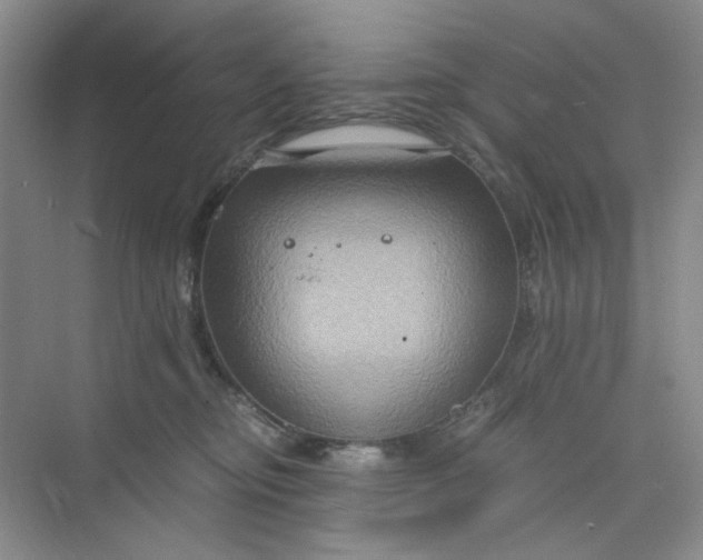 X0000075890374200609291712