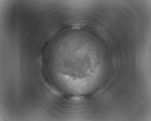 X0000075890375200609291712