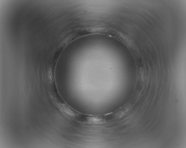 X0000075890380200609291712