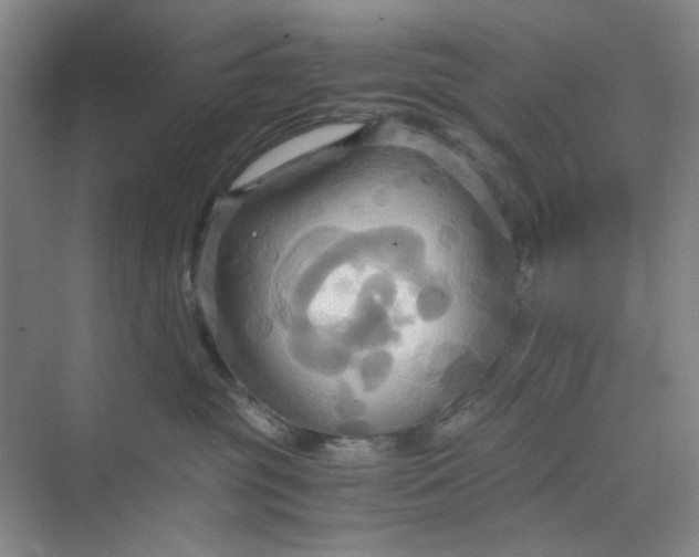 X0000075890381200609291712