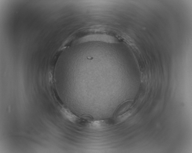 X0000075890382200609291712