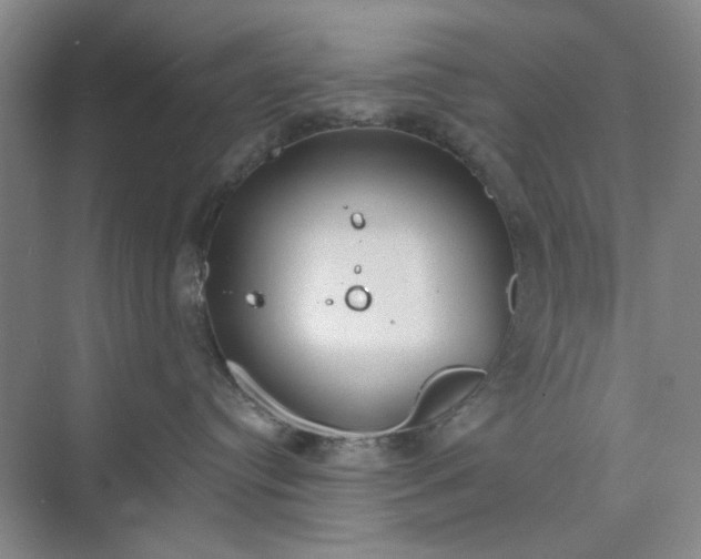 X0000075890384200609291712