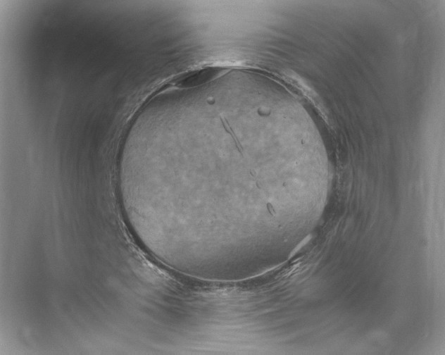 X0000075890385200609291711