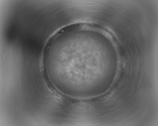 X0000075890388200609291711