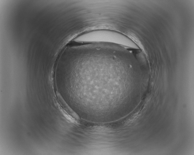 X0000075890389200609291711