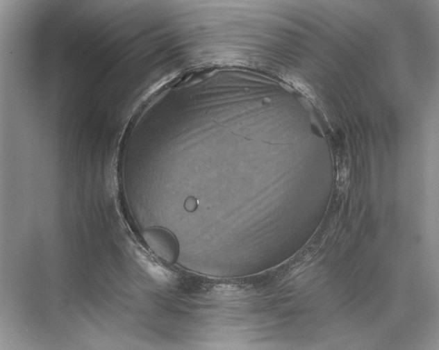 X0000075890390200609291711