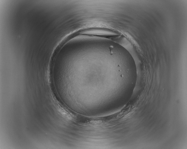 X0000075890391200609291711