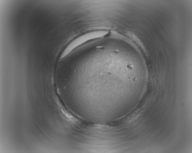 X0000075890393200609291711