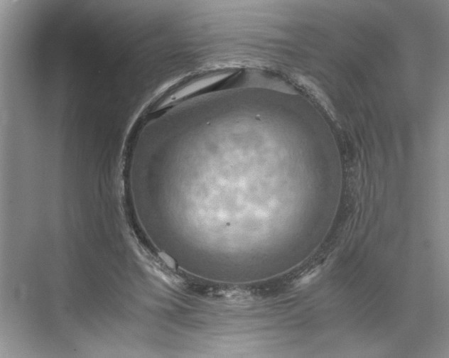 X0000075890395200609291711