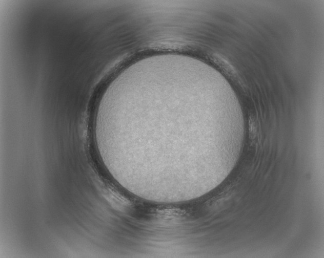 X0000075890396200609291711