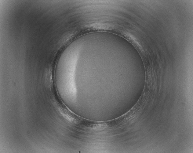 X0000075890398200609291711