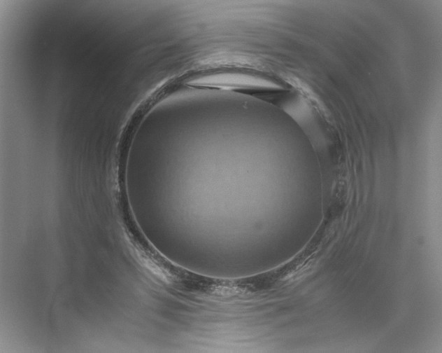 X0000075890399200609291711