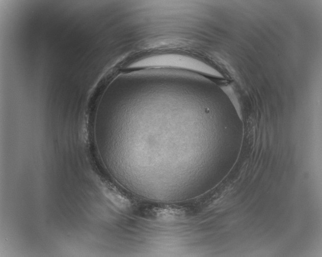 X0000075890400200609291711