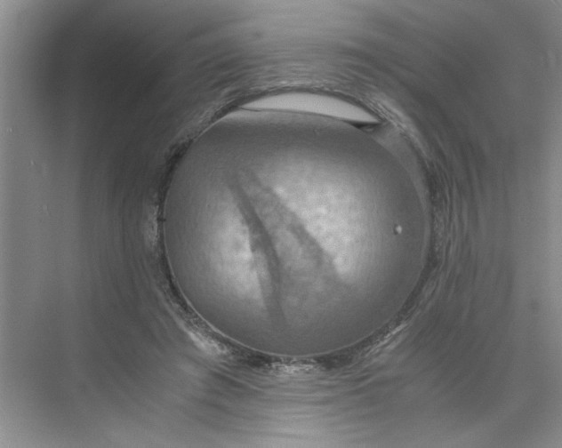 X0000075890401200609291711