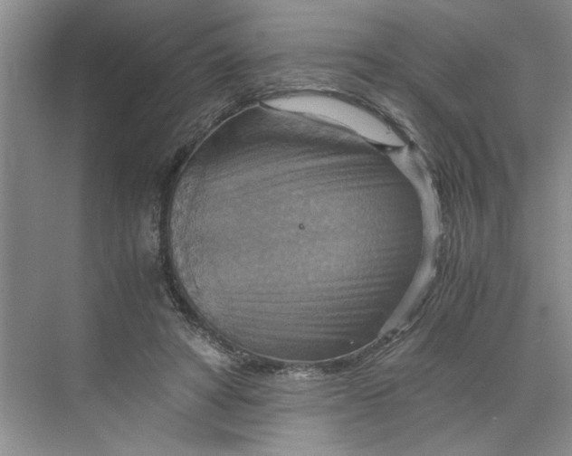 X0000075890402200609291711