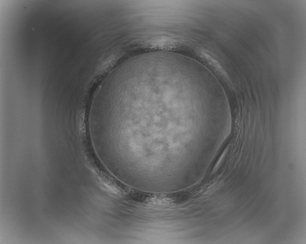 X0000075890403200609291711