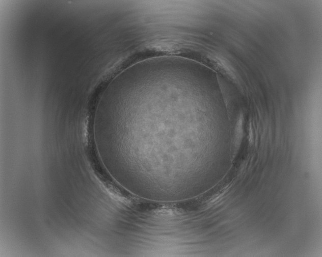 X0000075890404200609291711