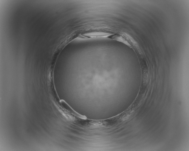 X0000075890405200609291711