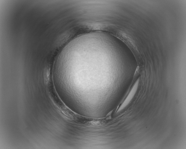 X0000075890406200609291711