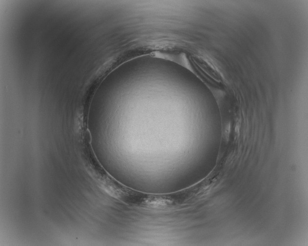 X0000075890407200609291711